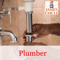 Plumber Mithu Bose in Bisharpara